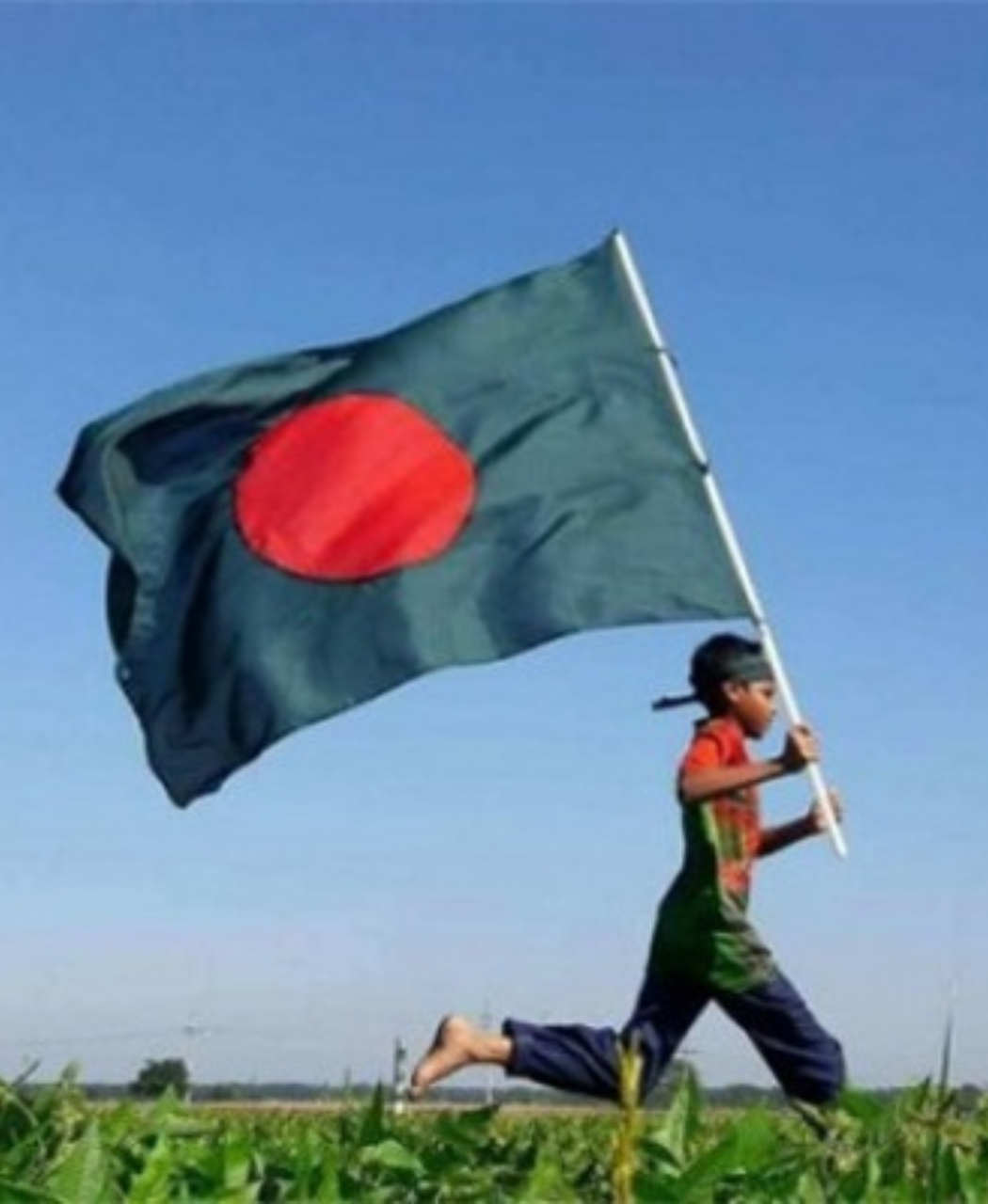 বিজয় নিশান
