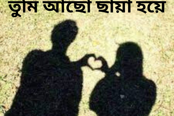 তুমি আছো ছায়া হয়ে